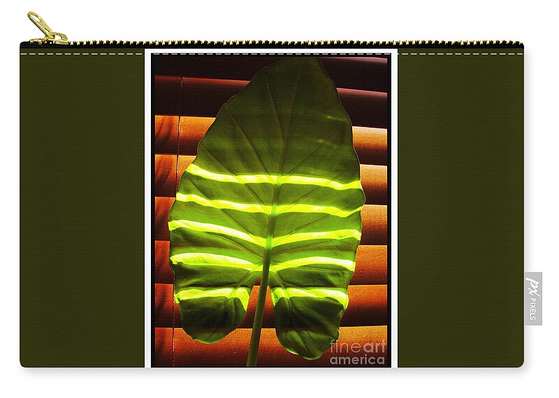 Stripes Zip Pouch featuring the photograph Stripes Of Light by Nina Ficur Feenan