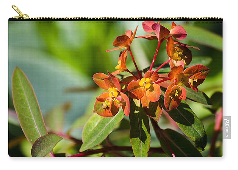 Green Zip Pouch featuring the photograph Summer Flower by Spikey Mouse Photography