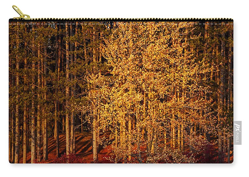 Autumn Zip Pouch featuring the photograph Summers End by Susan Candelario