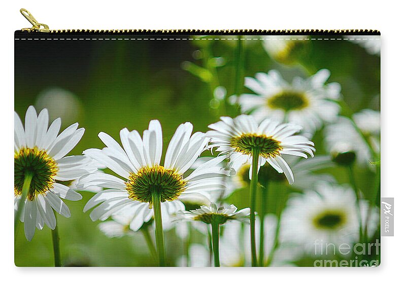 Maine Nature Photographers Zip Pouch featuring the photograph Summer Time Daisys by Alana Ranney