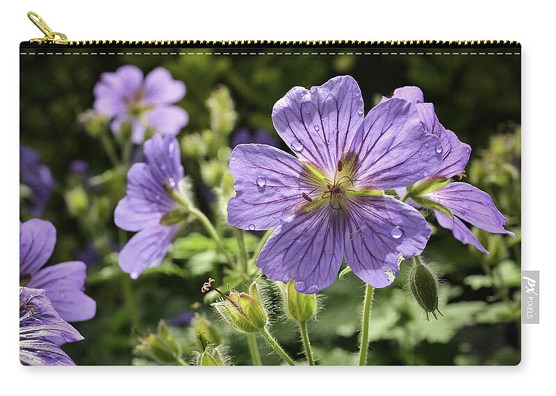 Nature Carry-all Pouch featuring the photograph Sun bathed Geranium by Spikey Mouse Photography