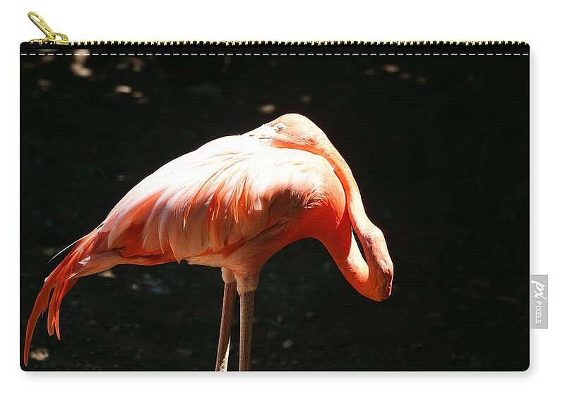 Flamingo Zip Pouch featuring the photograph Sun Bathing by Heidi Poulin