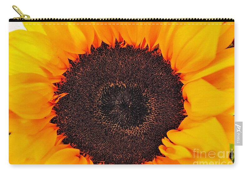 Sunflower Design Zip Pouch featuring the photograph Sun Delight by Angela J Wright