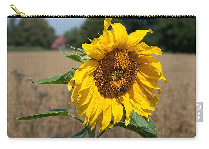Winterpacht Zip Pouch featuring the photograph Sun Flower Fields by Miguel Winterpacht