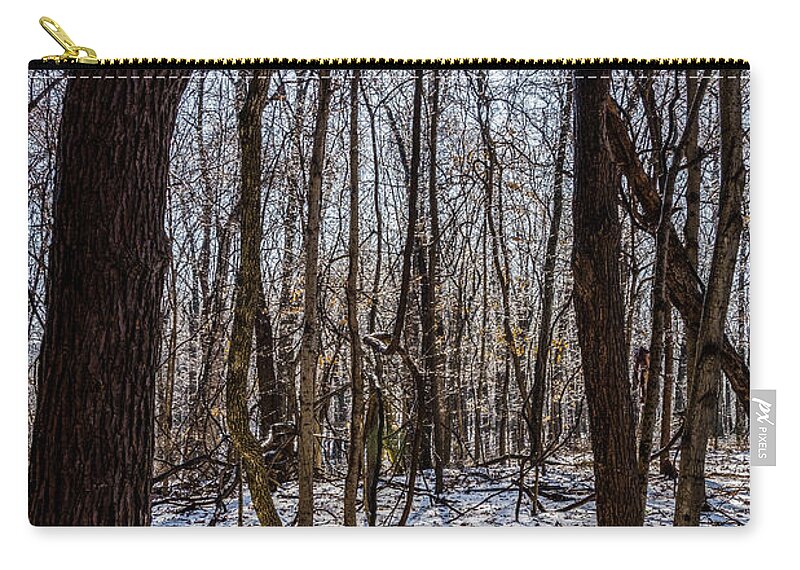 Sunset Zip Pouch featuring the photograph Sun Lit Frozen Rain by Anthony Hughes