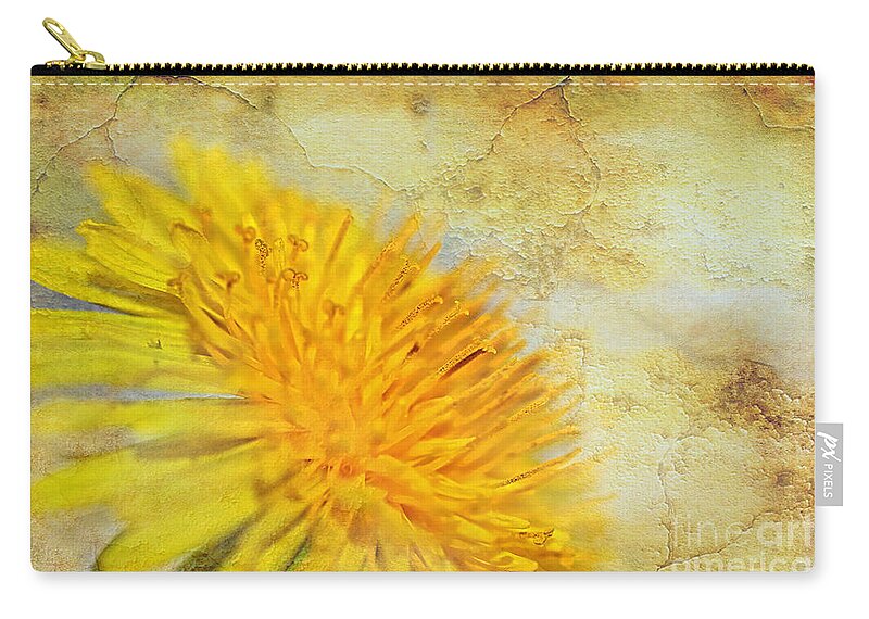 Photography Zip Pouch featuring the photograph Sun-Scorched Dandelion Abstract by Kaye Menner