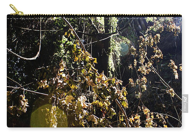 Vines Zip Pouch featuring the photograph Sun Spot by Edward Hawkins II