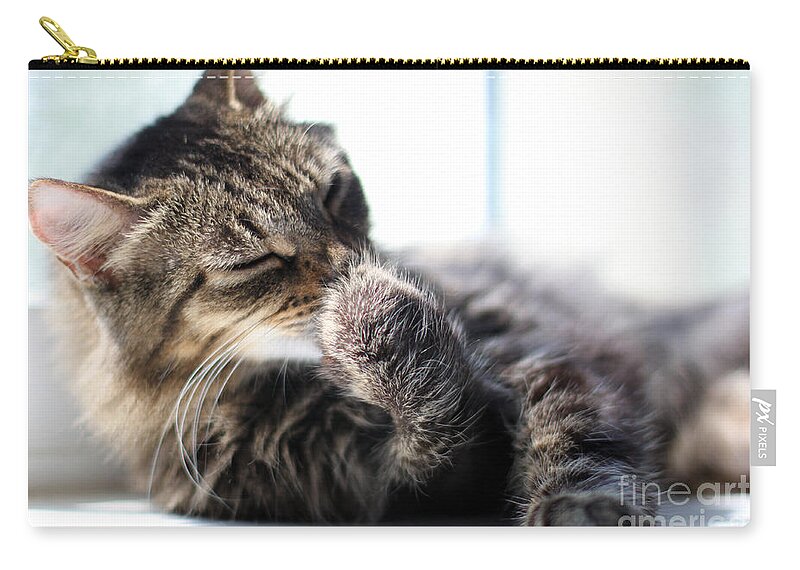 Cat Zip Pouch featuring the photograph Sunbathing by Todd Blanchard