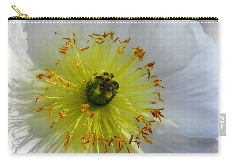 Flower Zip Pouch featuring the photograph Sunburst by Deb Halloran