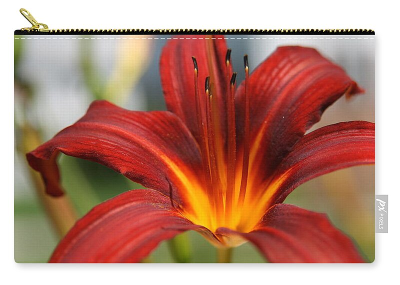 Lilies Zip Pouch featuring the photograph Sunburst Lily by Neal Eslinger