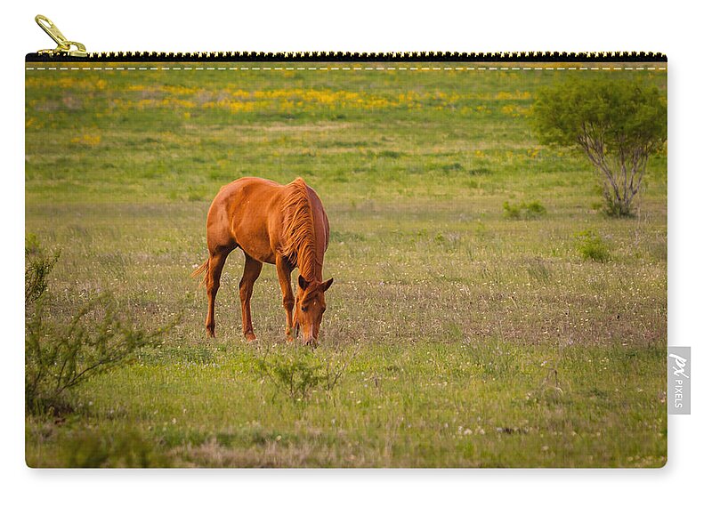 Melinda Ledsome Zip Pouch featuring the photograph Sundown Grazing 769 by Melinda Ledsome