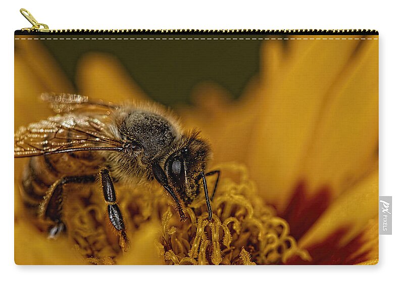 Bee Zip Pouch featuring the photograph Sunfire Bee by Jonathan Davison