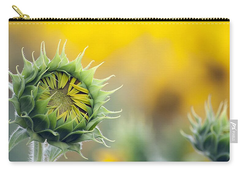 Sunflower Zip Pouch featuring the photograph Sunflower Bloom by Debby Richards