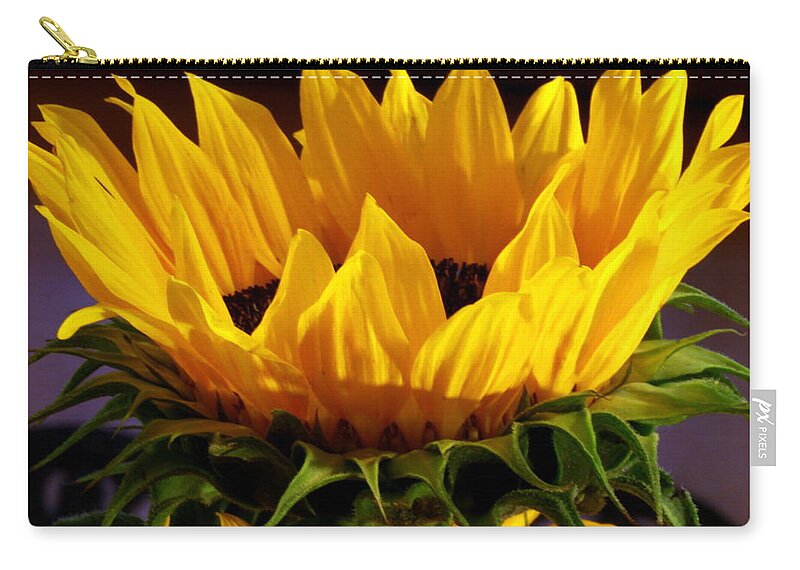 Sunflower Zip Pouch featuring the photograph Sunflower Crown by Deborah Crew-Johnson