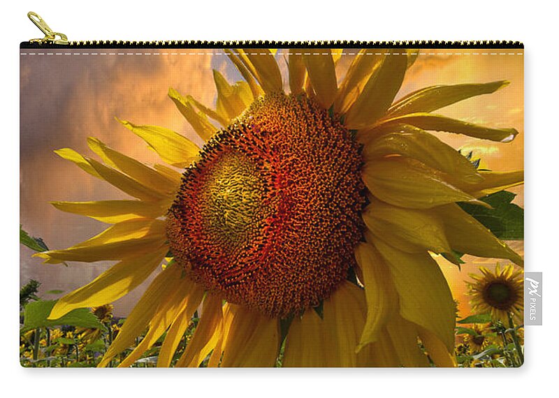 Appalachia Carry-all Pouch featuring the photograph Sunflower Dawn by Debra and Dave Vanderlaan