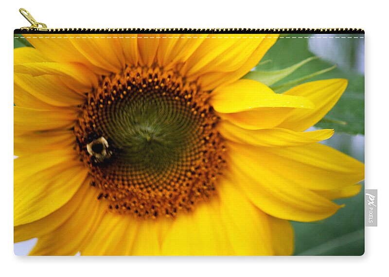 Yellow Zip Pouch featuring the photograph Sunflower by Donna Walsh