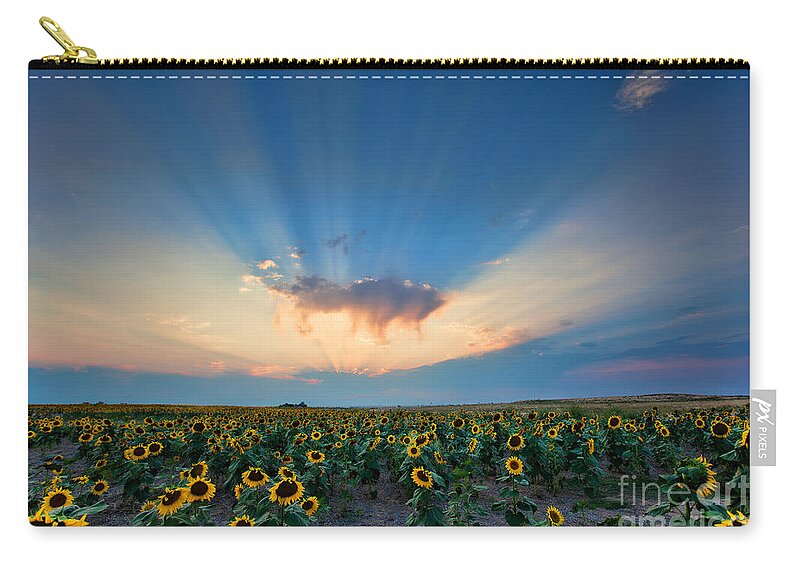 Flowers Zip Pouch featuring the photograph Sunflower Field at Sunset by Jim Garrison