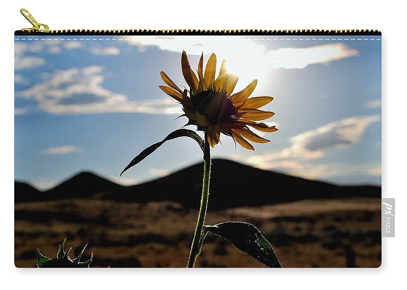 Sunflower Zip Pouch featuring the photograph Sunflower in the Sun by Matt Quest