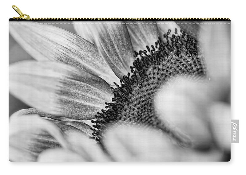 Nature Zip Pouch featuring the photograph Sunflower by Jonathan Nguyen