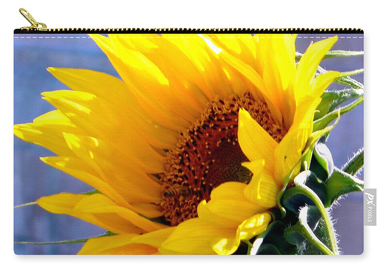 Sunflower Zip Pouch featuring the photograph Sunflower by Katy Hawk