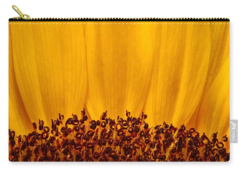 Flower Zip Pouch featuring the photograph Sunflower by Ron Pate