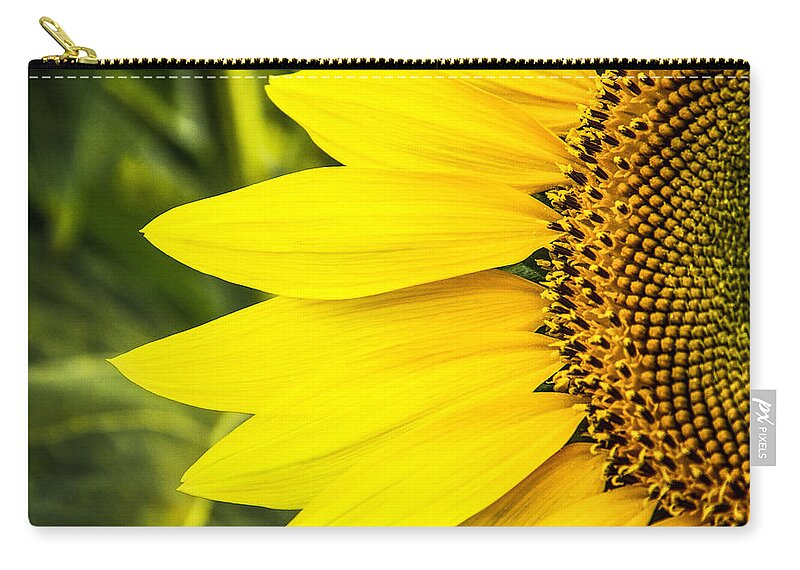 Steven Bateson Zip Pouch featuring the photograph Sunflower Sunshine by Steven Bateson