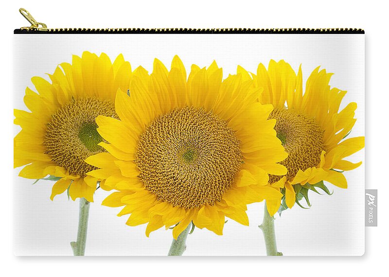 Sunflower Zip Pouch featuring the photograph Sunflower Trio by Patty Colabuono