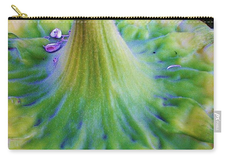 Abstract Zip Pouch featuring the photograph Sunflower...Moonside 1 by Daniel Thompson