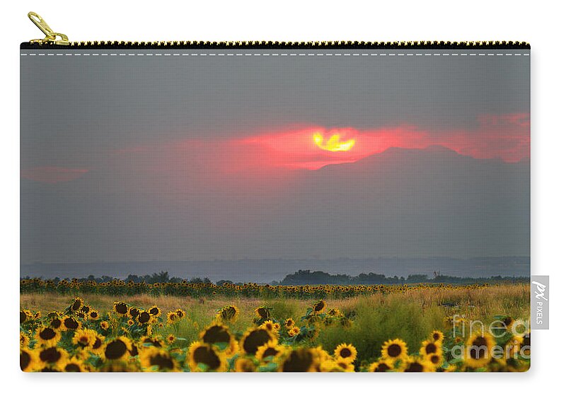 Flowers Zip Pouch featuring the photograph Sunflowers in Mordor by Jim Garrison