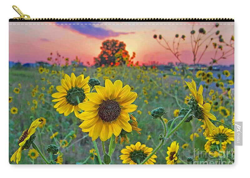 Sunflower Zip Pouch featuring the photograph Sunflowers Sunset by Gary Holmes