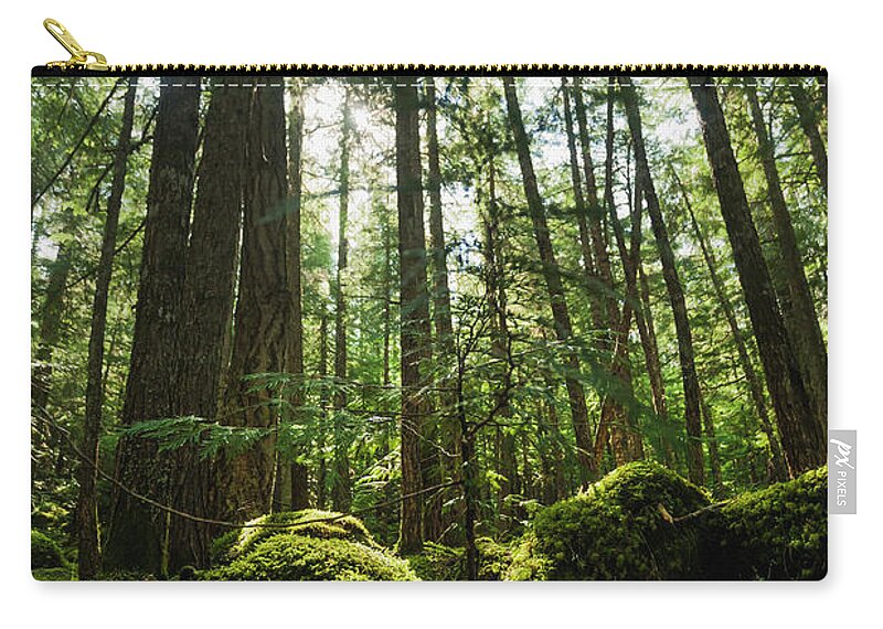 Cedar Tree Zip Pouch featuring the photograph Sunlight Streaming Through Cedar Trees by Joel Koop / Design Pics