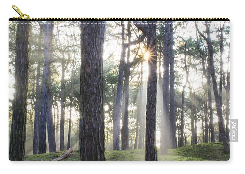 Trees Carry-all Pouch featuring the photograph Sunlit Trees by Spikey Mouse Photography