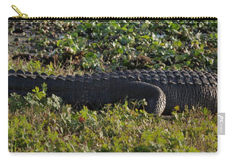 Alligator Zip Pouch featuring the photograph Sunny Alligator by Joshua House