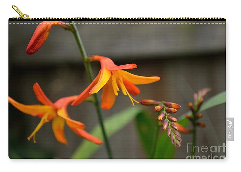 Sunny Zip Pouch featuring the photograph Sunny Crocosmia by Scott Lyons