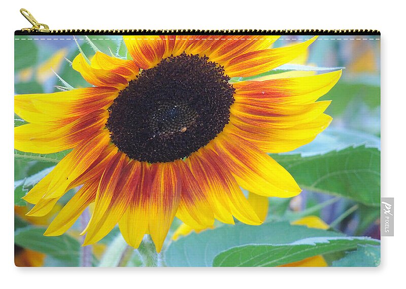 Dakota Zip Pouch featuring the photograph Sunny Sunflower by Greni Graph