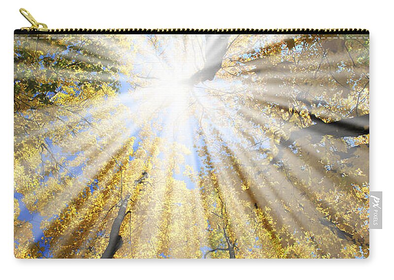 Autumn Zip Pouch featuring the photograph Sunrays in the forest by Elena Elisseeva