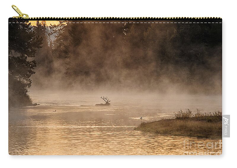 Bull Elk Zip Pouch featuring the photograph Sunrise Swim by Deby Dixon