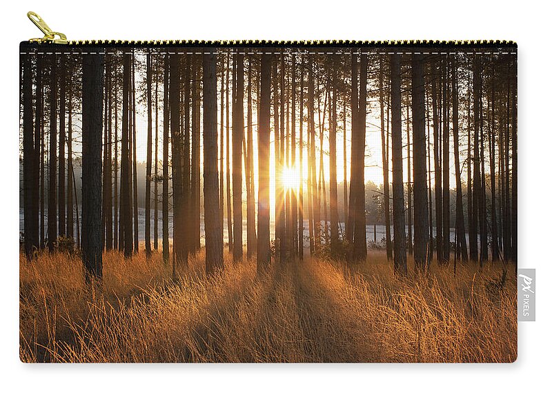 Scenics Zip Pouch featuring the photograph Sunrise Through Pine Forest, Dorset, Uk by Travelpix Ltd