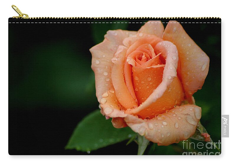 Roses Zip Pouch featuring the photograph Sunset Celebration by Living Color Photography Lorraine Lynch