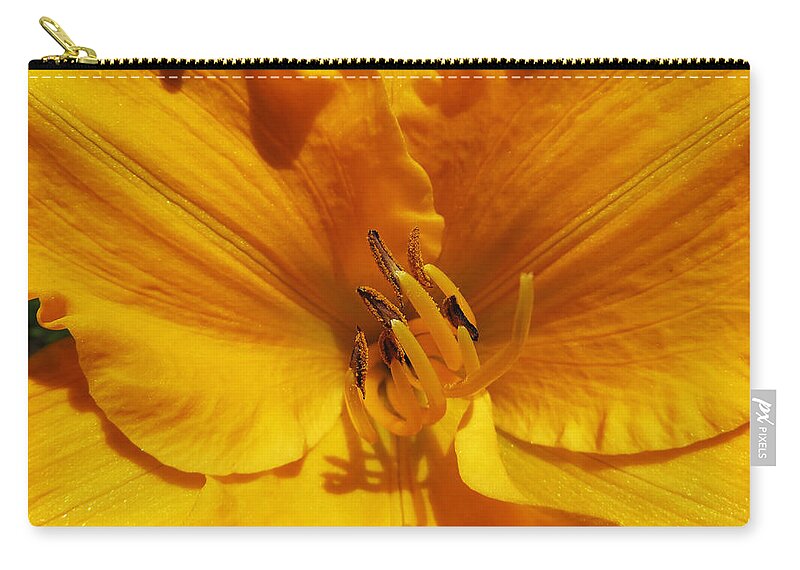 Daylily Zip Pouch featuring the photograph Sunshine by Shawna Rowe