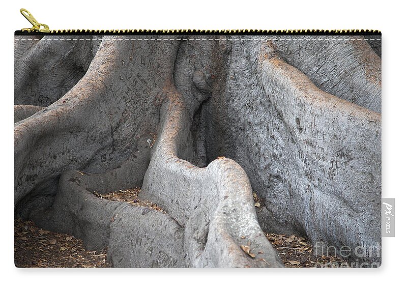 Tree Zip Pouch featuring the photograph Survivor2 by Amanda Barcon