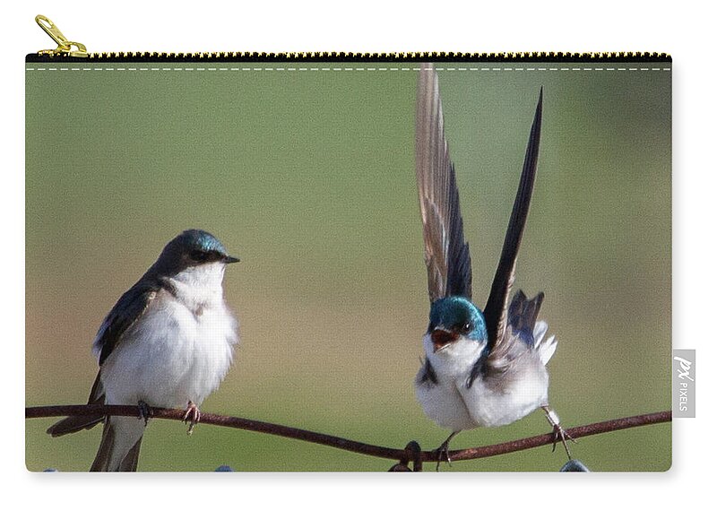 Tree_swallow Zip Pouch featuring the photograph Swallows by Dee Carpenter