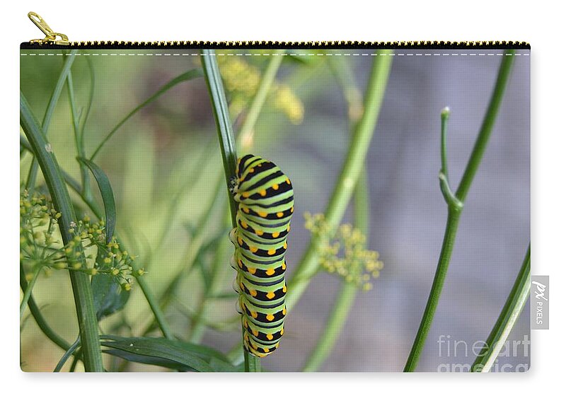Swallowtail Zip Pouch featuring the photograph Swallowtail 1 by Lynellen Nielsen