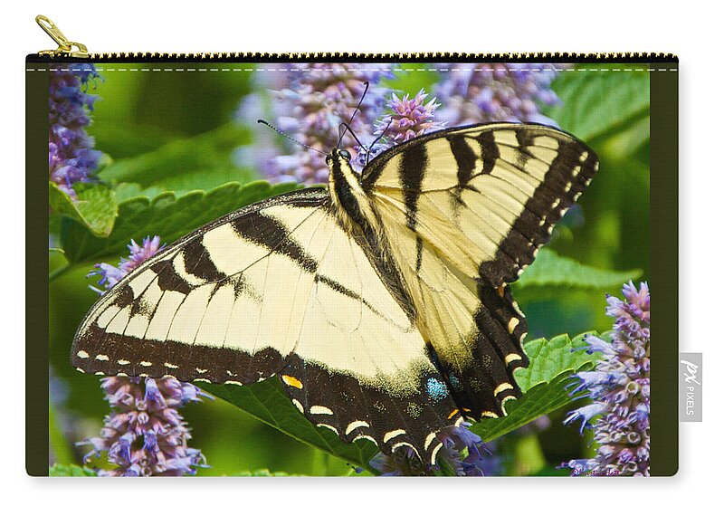 Anise Hyssop Zip Pouch featuring the photograph Swallowtail Butterfly on Anise Hyssop by Kristin Hatt