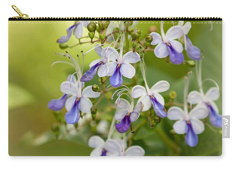 Amazing Zip Pouch featuring the photograph Sweet Butterfly Flowers by Sabrina L Ryan