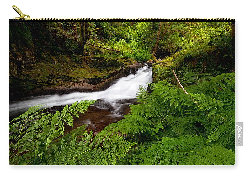 Ferns Carry-all Pouch featuring the photograph Sweet Creek Ferns by Andrew Kumler