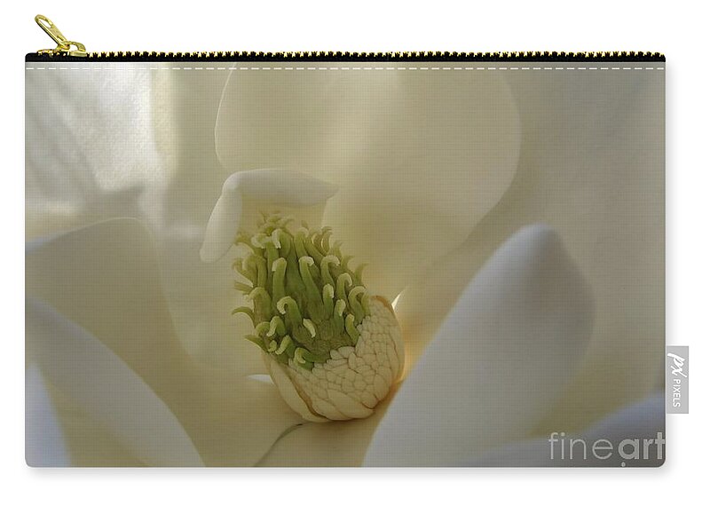 Flower Zip Pouch featuring the photograph Sweet Magnolia by Peggy Hughes