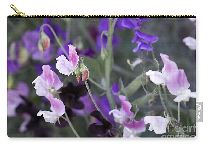 Pellirojos Writing Zip Pouch featuring the photograph Sweet Pea Collection by Donna L Munro