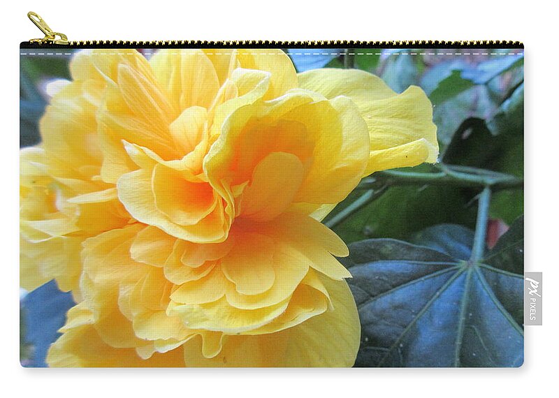 Yellow Zip Pouch featuring the photograph Sweet Spot by Ashley Goforth