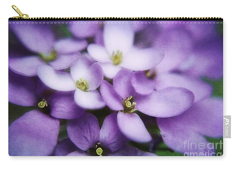 Macro Purple Flowers Zip Pouch featuring the photograph Sweet Williams Flowers by Peggy Franz